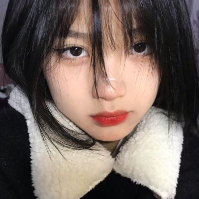 唐驳虎：莫迪在等高市早苗早日上门